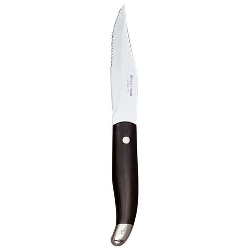 Steak Knife - 9 3/4" stainless steel